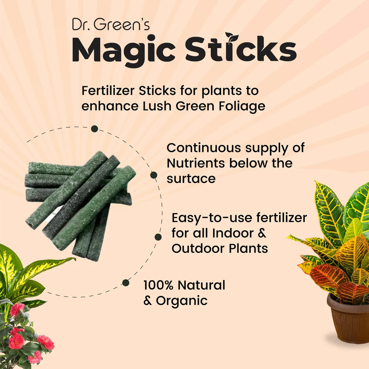 Plant Fertilizer Sticks For Plants