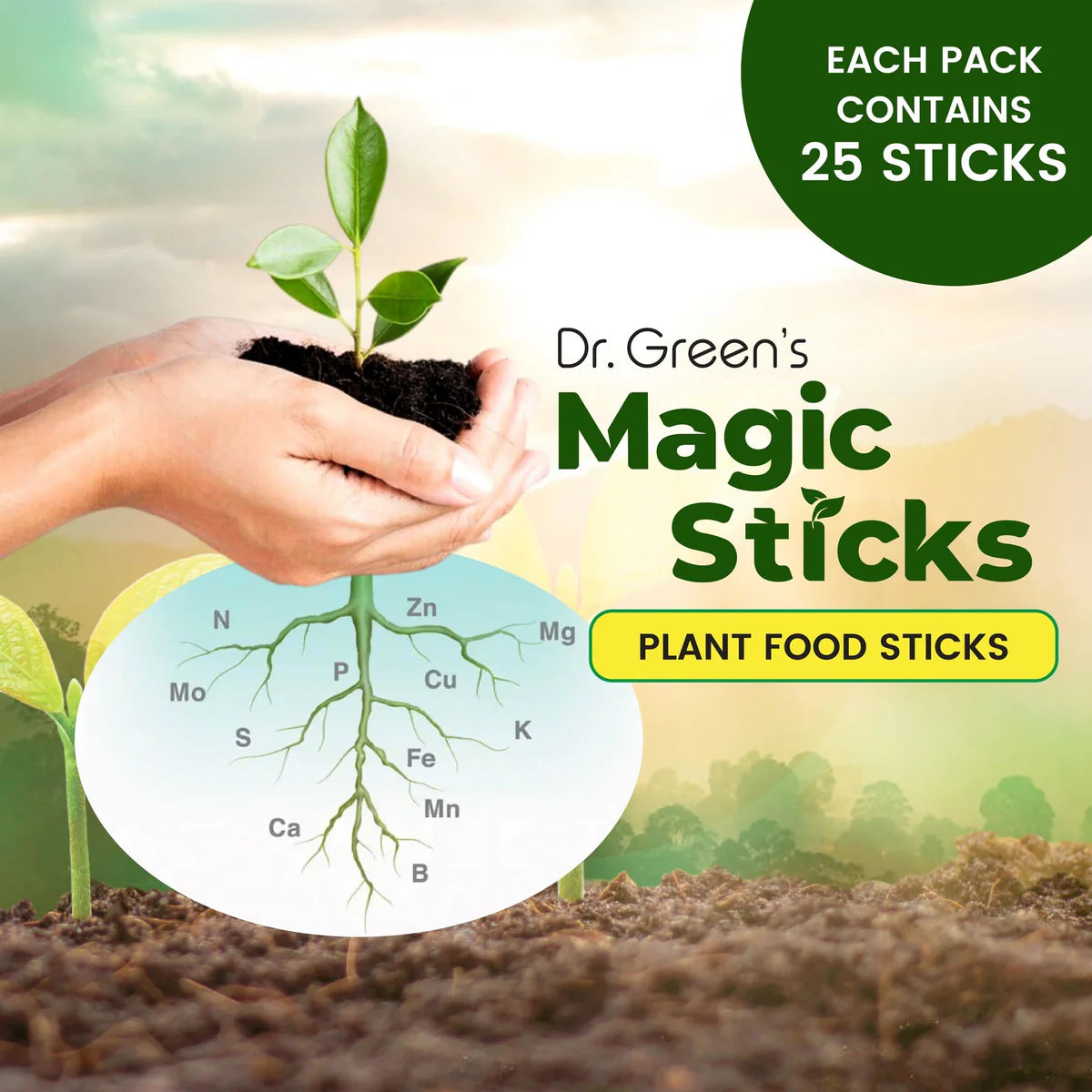 Plant Fertilizer Sticks For Plants
