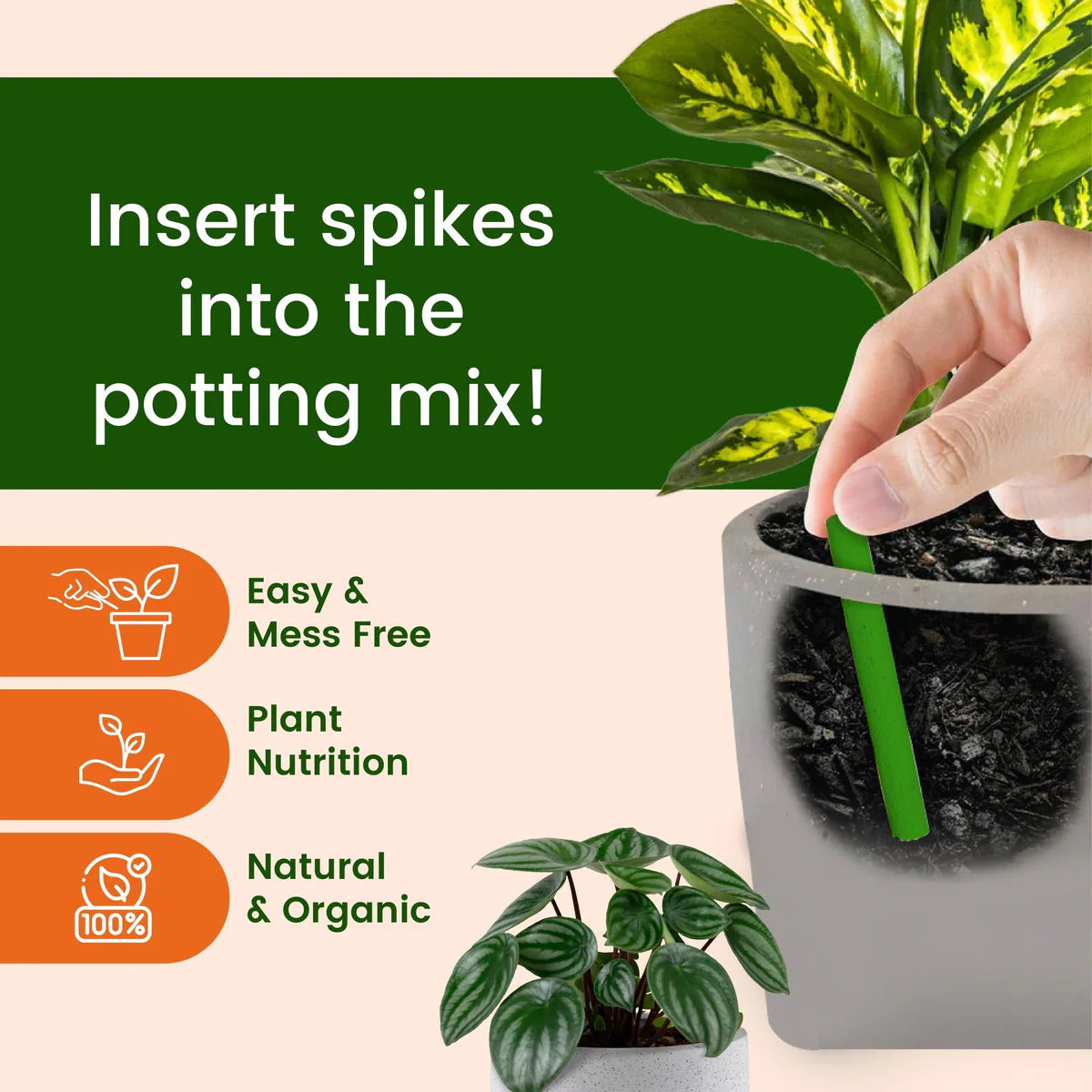 Plant Fertilizer Sticks For Plants